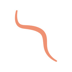 Ascaris Worm Parasite Vector Illustration