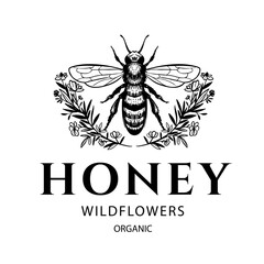 Honey label, bee, apiary, beehive, hand drawn sketch, realistic vector illustration