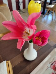 vibrant pink and yellow tulips in a white vase on a café table, cozy indoor setting, ideal for...