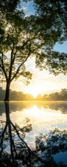 Obraz premium Sunrise Reflection Over Calm Lake Surrounded by Lush Greenery