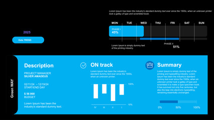Naklejka premium Project Overview Progress, Team, and Financial Status