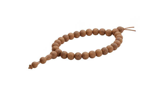 Isolated Rudraksha Beads Necklace Prayer Strand on Transparent Background