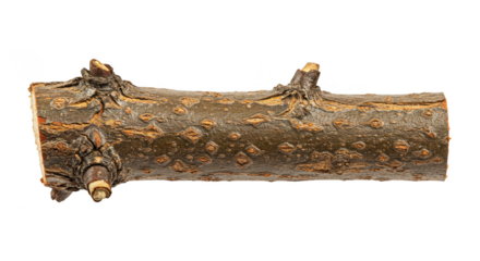 Isolated Natural Brown Wood Branch Twig On Transparent Background