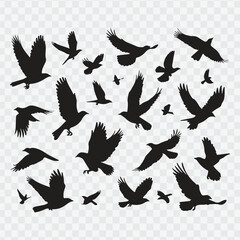 Fototapeta premium Silhouettes of flying birds in various dynamic poses