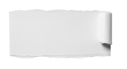 Isolated Torn Paper Texture White Scrap Design on Transparent BG