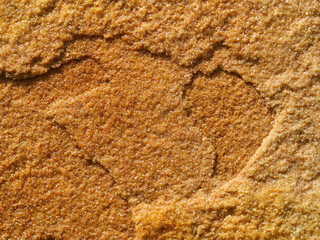Yellow sandstone Surface structure and grain pattern