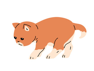 Little ginger kitten playing. Cute fluffy domestic pet. Animal cat. Cartoon vector illustration isolated on white background