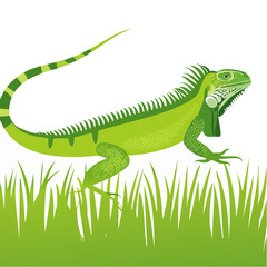Fototapeta premium Vibrant Iguana Illustration with Lush Greenery