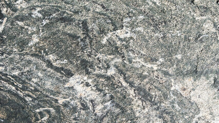 Close up of gneiss metamorphic rock showing intricate patterns
