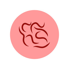 Pinworm parasite vector icon