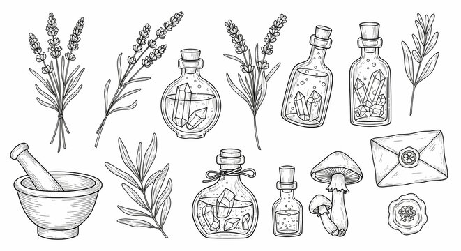 Set of hand drawn whimsical illustrations of herbs and potion bottles. Doodle drawings of lavender sprigs, crystal vials, mortar & pestles, mushrooms, and wax-sealed letters. 
