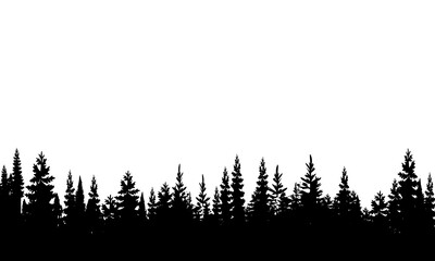 Pine trees silhouette isolated on white background. forest nature decoration.