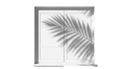 Palm Shadow White Frame Illustration With Transparent Background