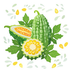 Illustration of Bitter Melon Slices and Leaves for Healthy Eating