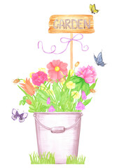 Hand drawn watercolor wildflowers and leaves in a bucket. Palisade composition isolated on white background. Can be used for postcard, label, scrapbook and other printed products.