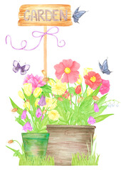 Hand drawn watercolor wildflowers and leaves in pots. Palisade composition isolated on white background. Can be used for postcard, label, scrapbook and other printed products.