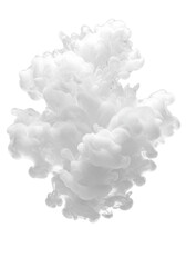 Obraz premium white smoke isolated