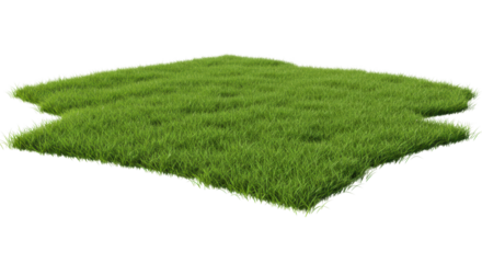 Lush green grass patch open field nature photography vibrant environment aerial view outdoor serenity