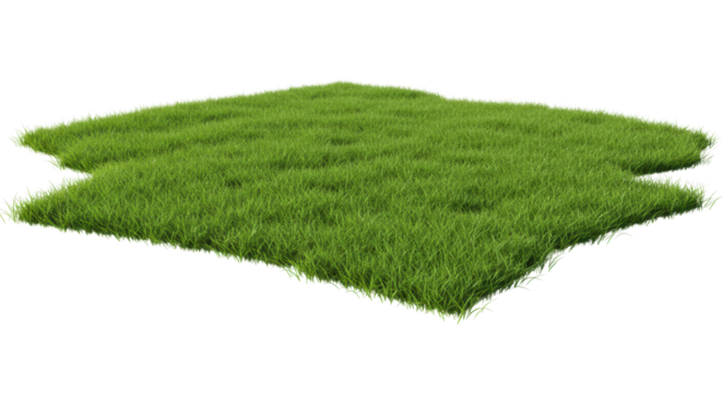 Lush green grass patch open field nature photography vibrant environment aerial view outdoor serenity