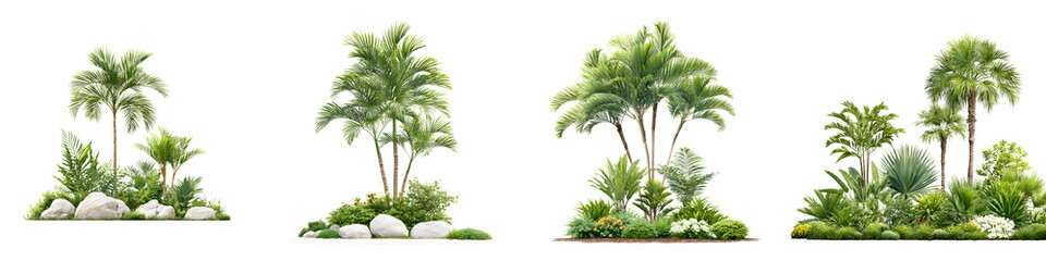 Lush Tropical Landscaping Collection, Isolated Palm Trees and Plants
