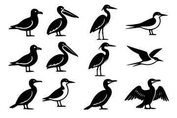 Obraz premium Silhouettes of various bird species on a brown background