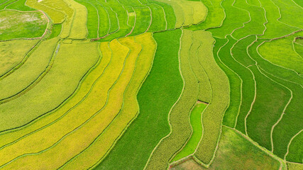 Khau Pha terraced rice fields seen from above are extremely beautiful.