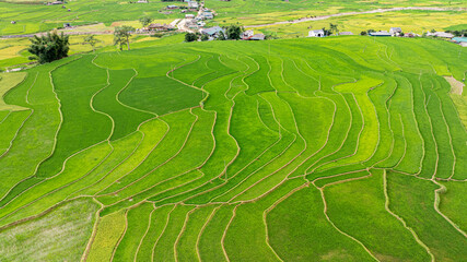 Khau Pha terraced rice fields seen from above are extremely beautiful.