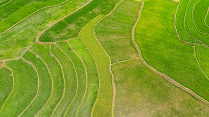 Khau Pha terraced rice fields seen from above are extremely beautiful.