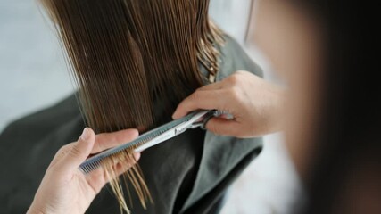 Professional Female Barber Cutting Hair With Scissors In A Beauty Salon