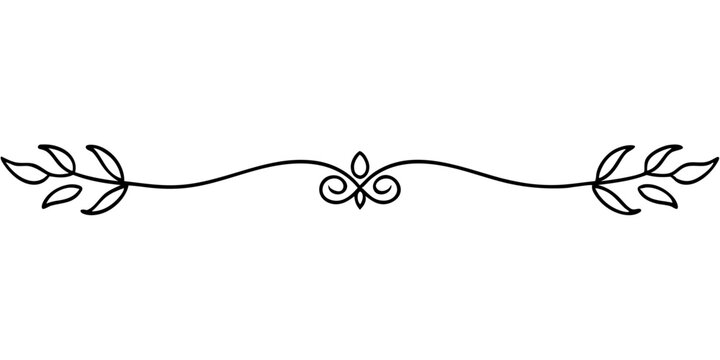 Thin botanical divider with tapered lines and minimalist design for text, cards and typography, isolated vector image on a transparent background
 