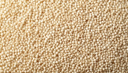 A closeup view of pile of white beans, texture, culinary uses, and nutritional benefits highlighted