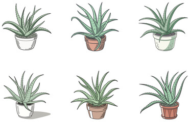 Aloe Vera in Pot Vector Designs Set Minimal Flat Plant Illustrations for Decor and Design