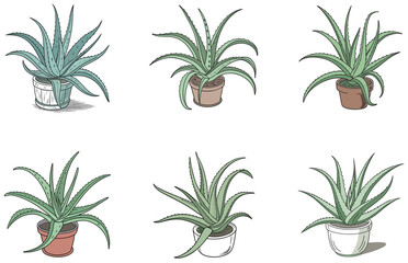 Aloe Vera in Pot Vector Designs Set Cute and Minimal Succulent Clipart Collection