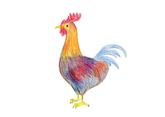 Cute watercolor painting blue and orange rooster. Kids mixed media crayon drawing farm chicken bird for greeting card design, village market banner, nursery sticker