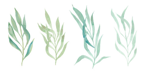 Set of delicate watercolor textured light green and teal fern leaves. Simple daisy and meadow herbs for botanical background design, textile patterns, frames, greeting cards