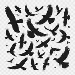 Obraz premium Silhouettes of flying birds in various dynamic poses