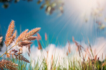 the image conveys a feeling of peace, natural beauty, and perhaps a touch of mystery. It's a snapshot of a moment when nature's simple elements&mdash;light and foliage&mdash;combine to create a visually stunning 
