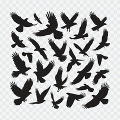 Obraz premium Silhouettes of flying birds in various dynamic poses