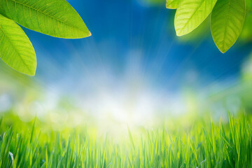 Obraz premium between the leaves and the sun flare creates a dynamic visual effect. Light might be backlighting the leaves, making them glow with an almost translucent quality, highlighting their delicate structur