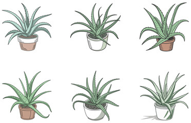 Aloe Vera in Pot Vector Designs Set Flat Minimal Succulent Illustrations for Stickers and Decor