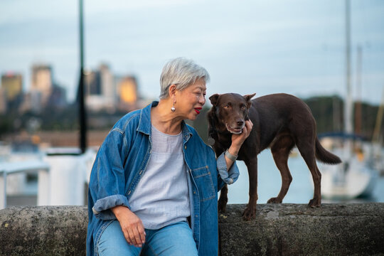 senior asian woman patting red kelpie dog