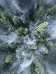 Initiatives for eco-friendly natural gas in a misty forest setting demonstrate potential green energy options, stock available