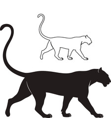 Silhouette and outline of a black panther walking on a white background