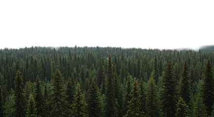 Vast, dense boreal forest with towering evergreen spruce and pine trees under a stark white overcast sky, a wide-angle, high-angle panoramic view emphasizing untouched wilderness, profound isolation