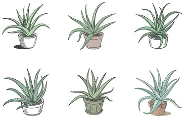 Aloe Vera in Pot Vector Designs Set Minimal Flat Potted Plant Illustrations for Creative Use