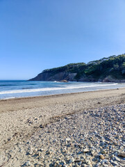 Tranquil beach with cliff and lush vegetation under blue sky