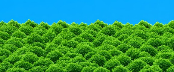 Forest preservation is vital for reducing the emission of carbon and lessening its environmental consequences