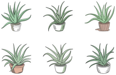 Aloe Vera in Pot Vector Designs Set Cute Minimal Flat Potted Succulent Illustrations