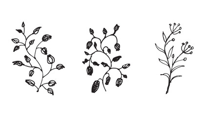 Assorted Botanical Twigs Vector Illustration Set Black and White Isolated on White