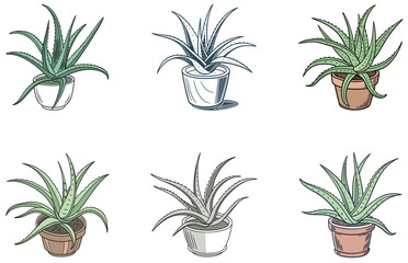 Aloe Vera in Pot Vector Designs Set Flat Minimal Succulent Plant Illustrations for Print and Digital Use